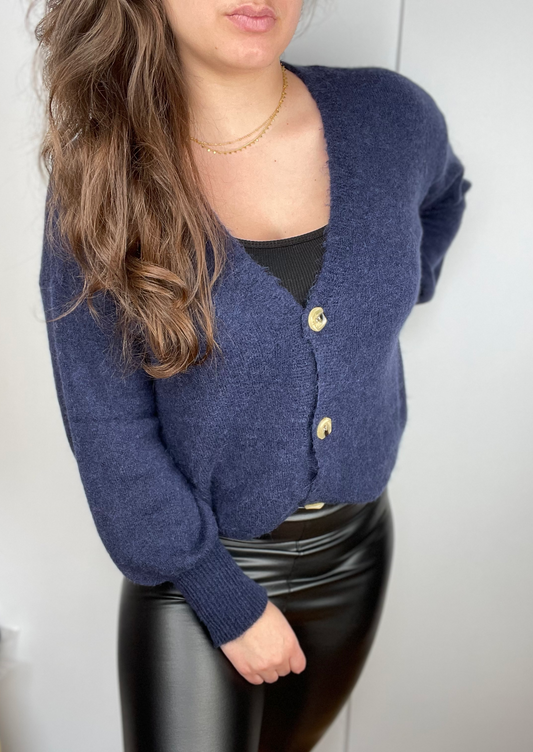 Gilet BLUE en Baby alpaga